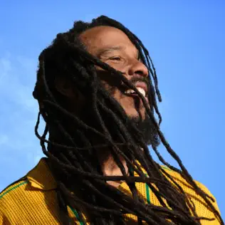 Ziggy Marley ‎– Brightside